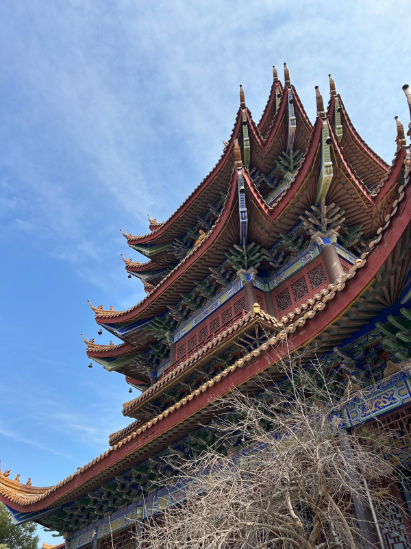 微信图片_20260326100046_131_967.jpg
